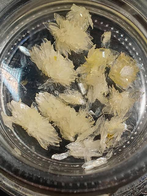 dmt white crystals